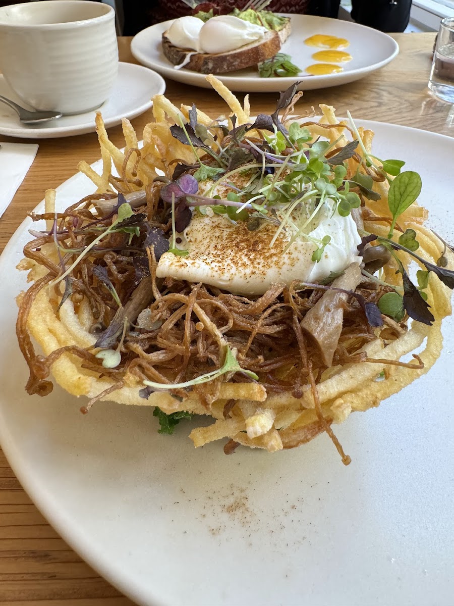 Industry Beans York St-9